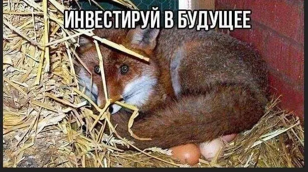 Дичка в танце