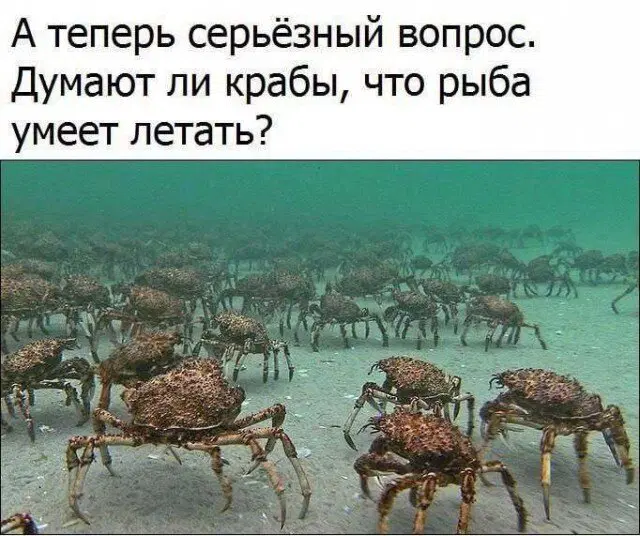 Дичка в танце