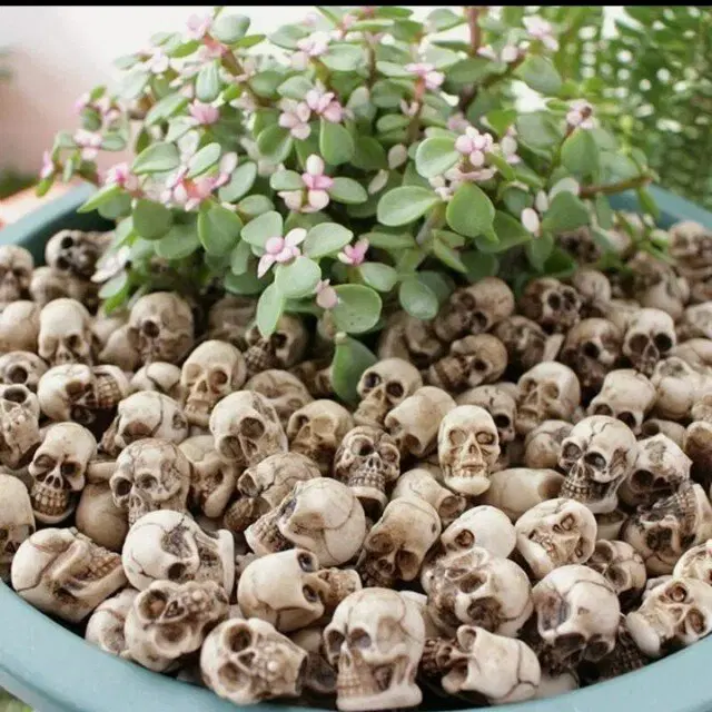 Дичка в танце