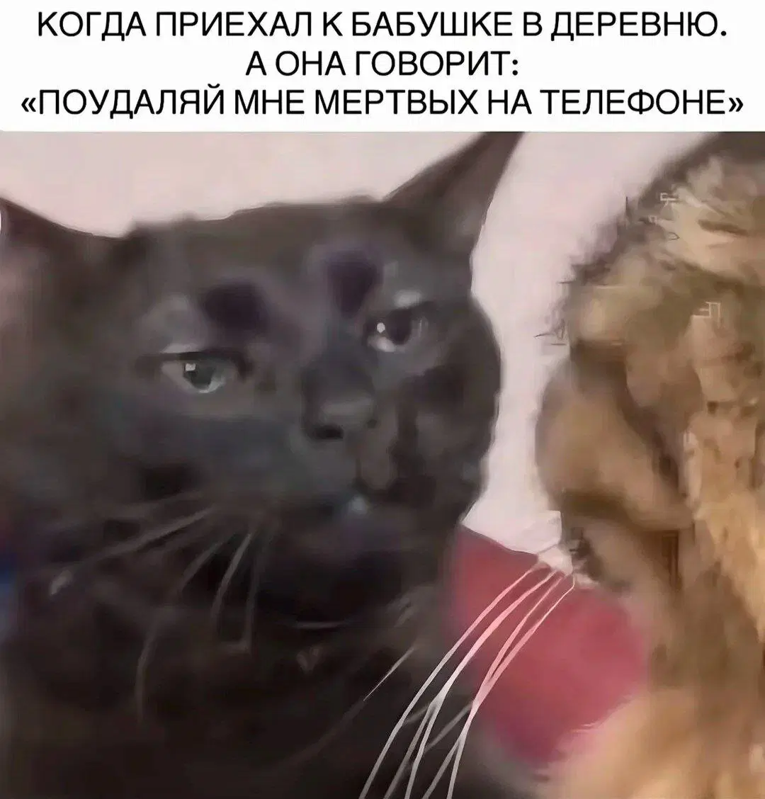 Жизнь скучна, живите с дичью