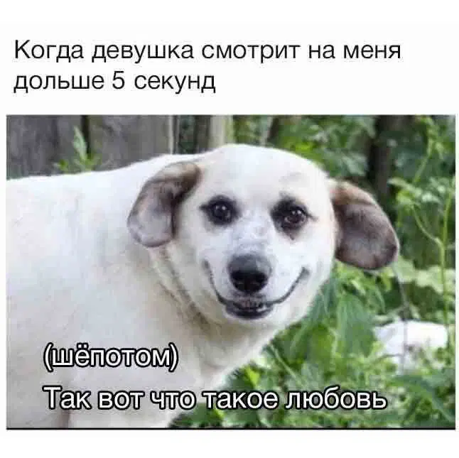 Жизнь скучна, живите с дичью