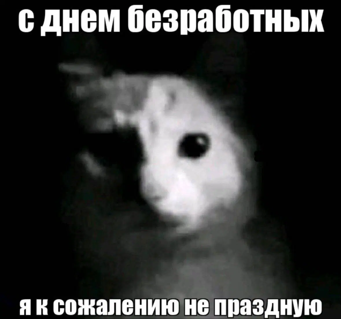 Жизнь скучна, живите с дичью