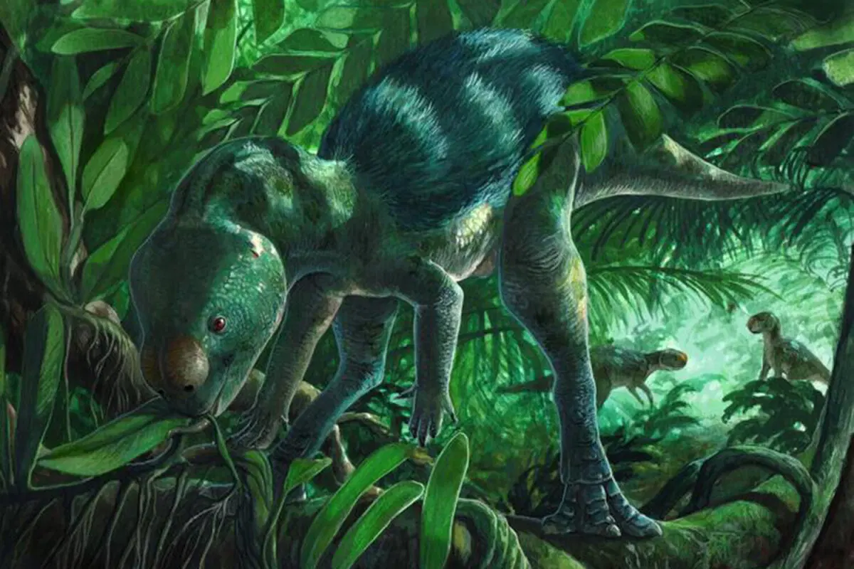 Новый род и новый вид: Foskeia pelendonum