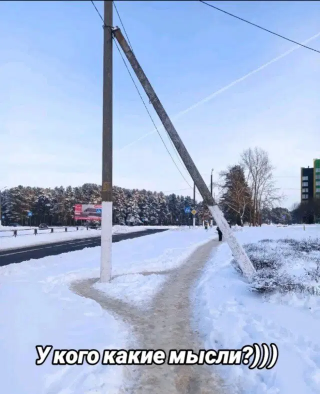 Тень от дички падает на поле