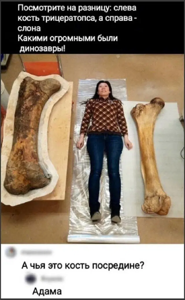 Тень от дички падает на поле