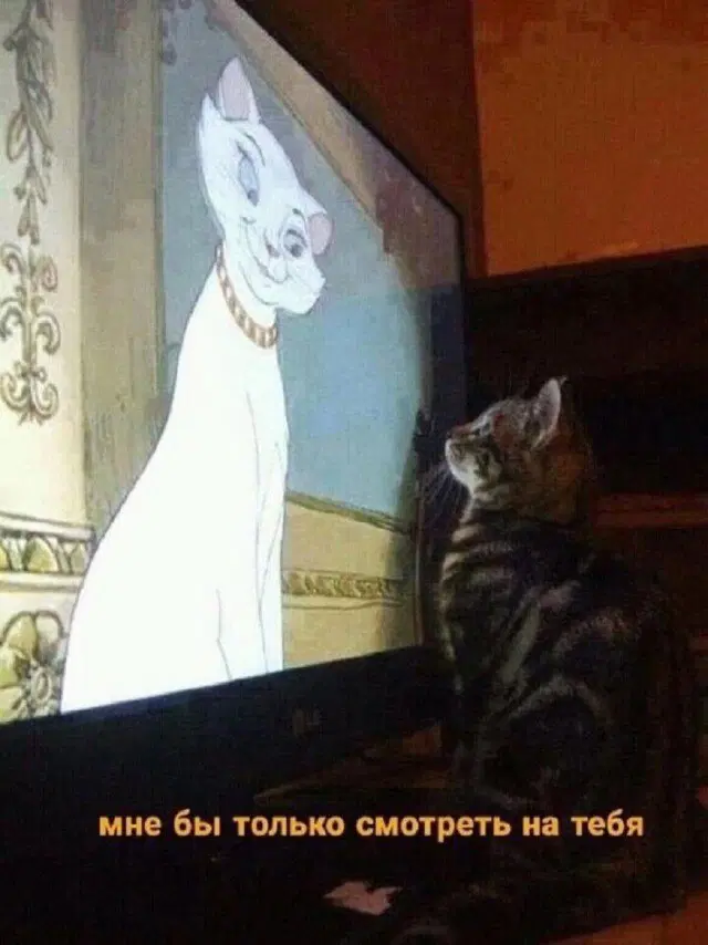 Тень от дички падает на поле