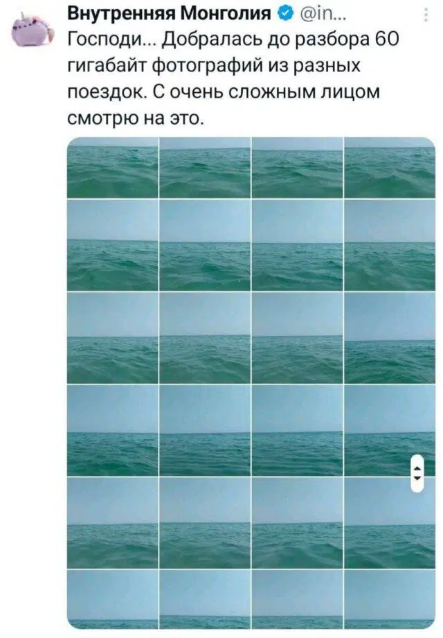 Тень от дички падает на поле