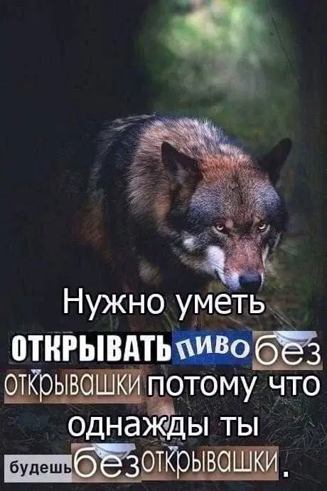 Тень от дички падает на поле