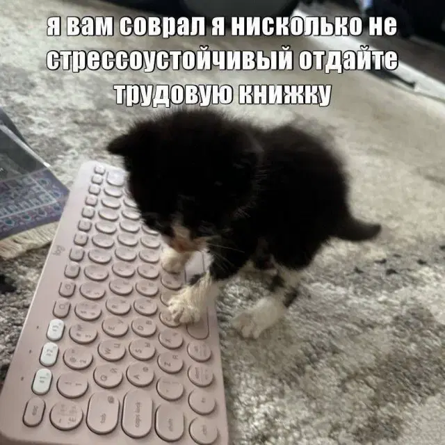 Тень от дички падает на поле