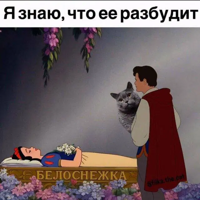 Тень от дички падает на поле