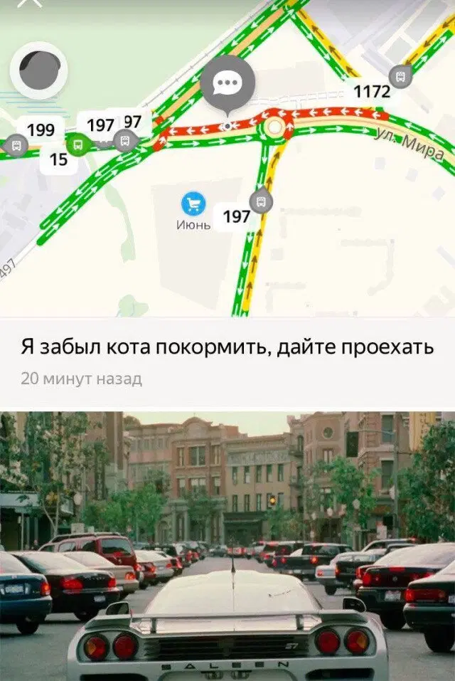 Тень от дички падает на поле