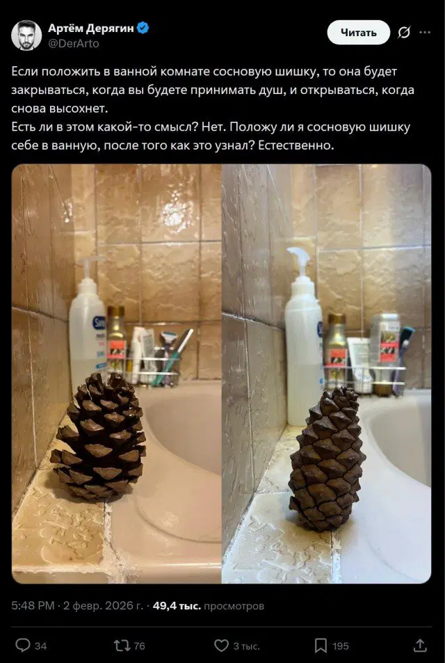 Тень от дички падает на поле