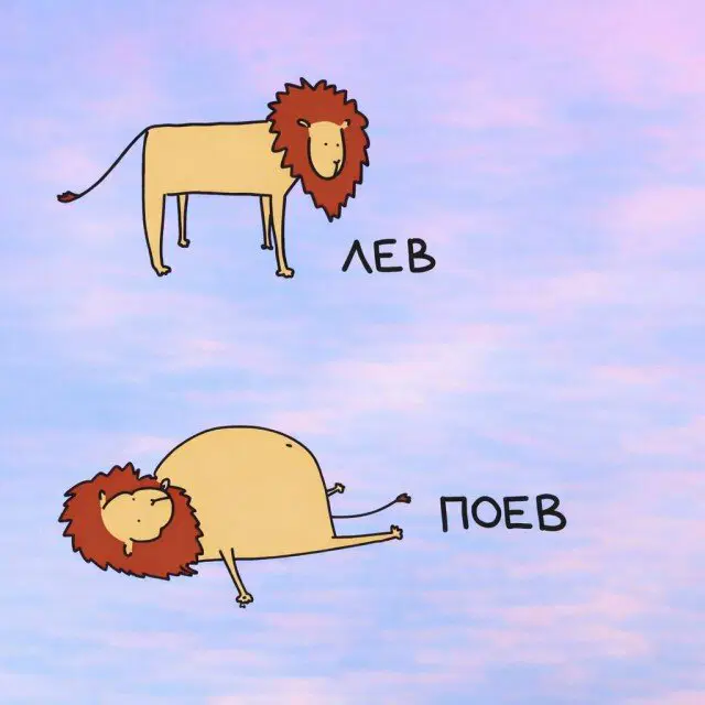 Тень от дички падает на поле