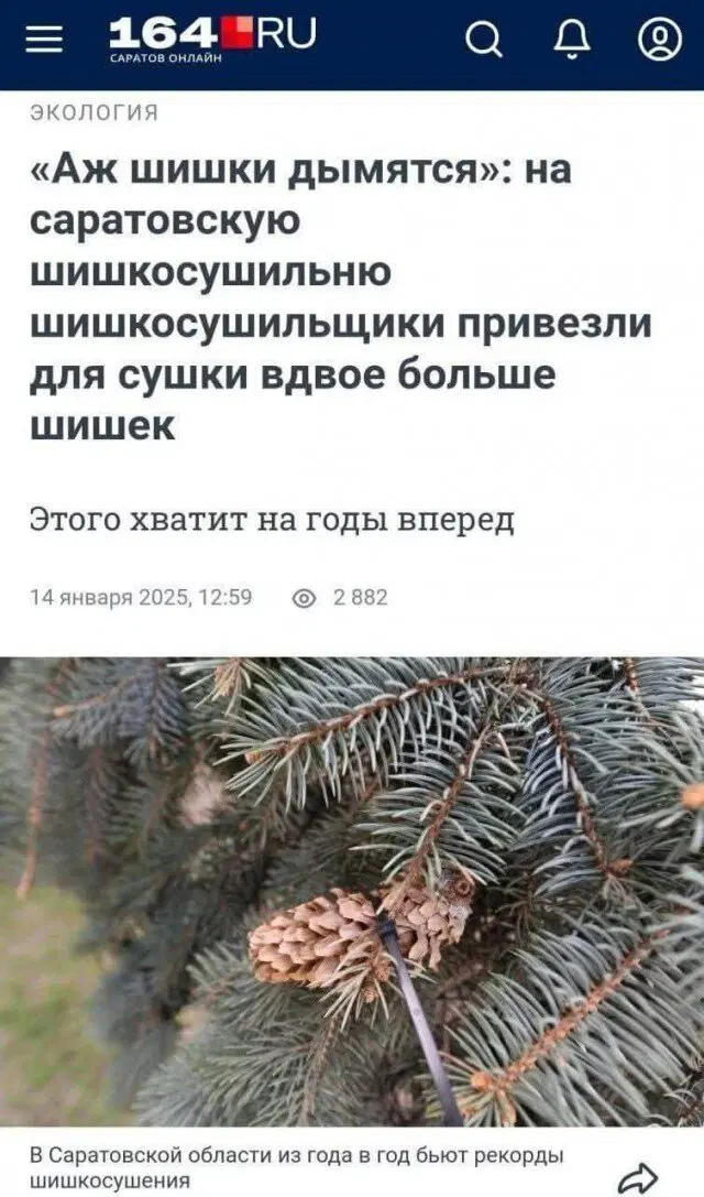 Тень от дички падает на поле