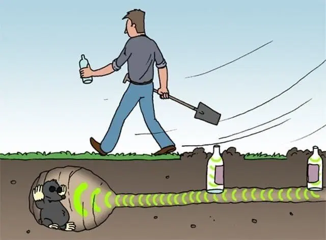 Тень от дички падает на поле