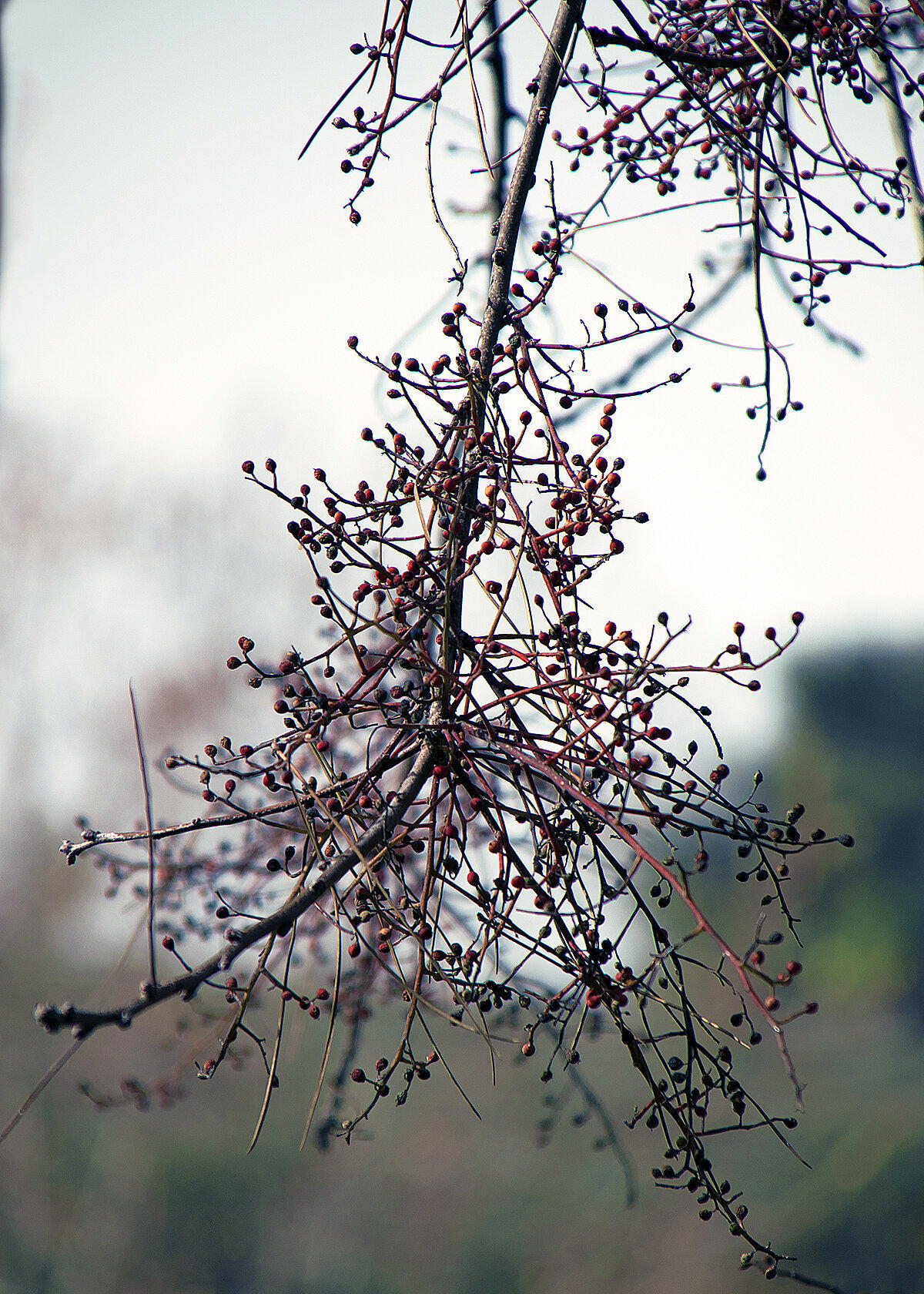 С Новым годом!