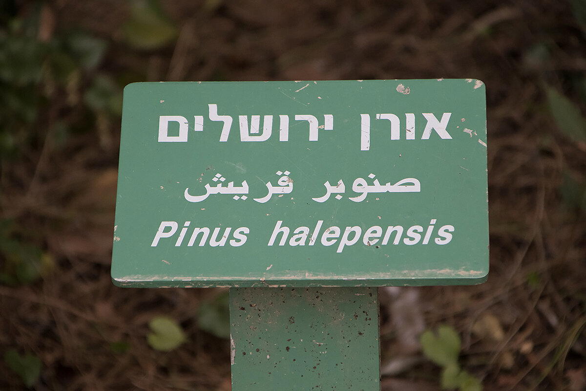 С Новым годом!