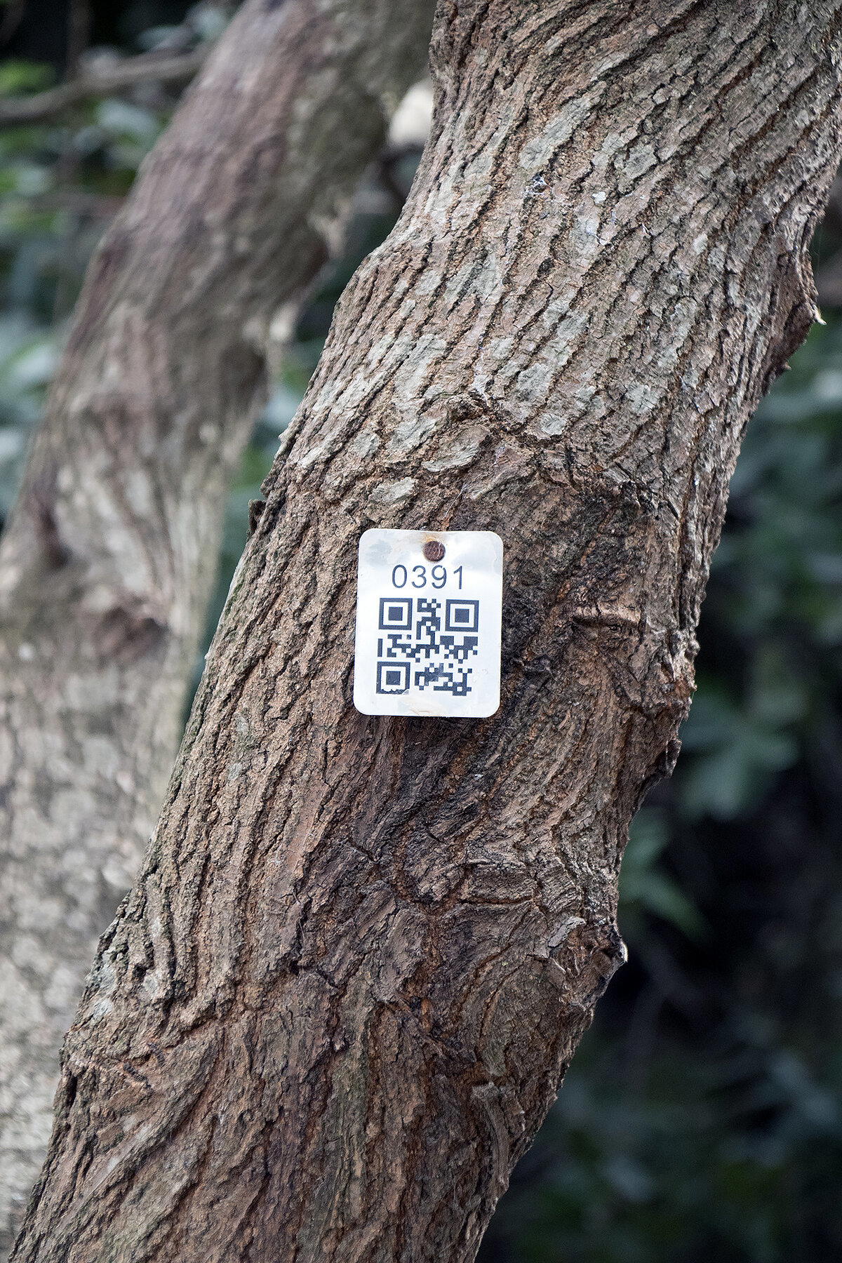 С Новым годом!