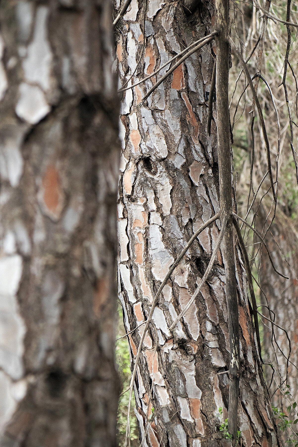 С Новым годом!