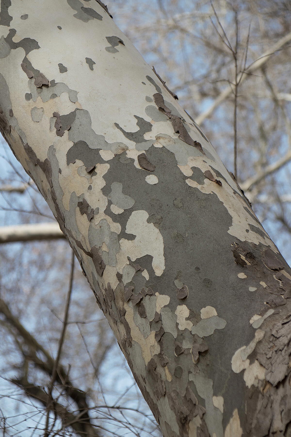 С Новым годом!