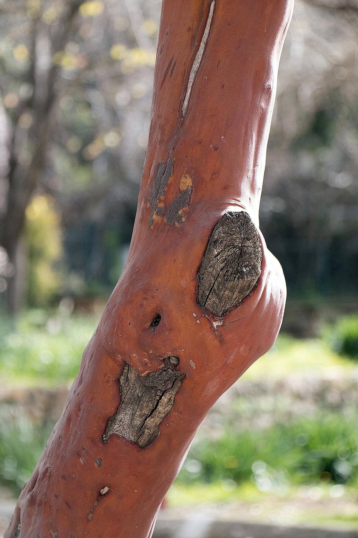 С Новым годом!