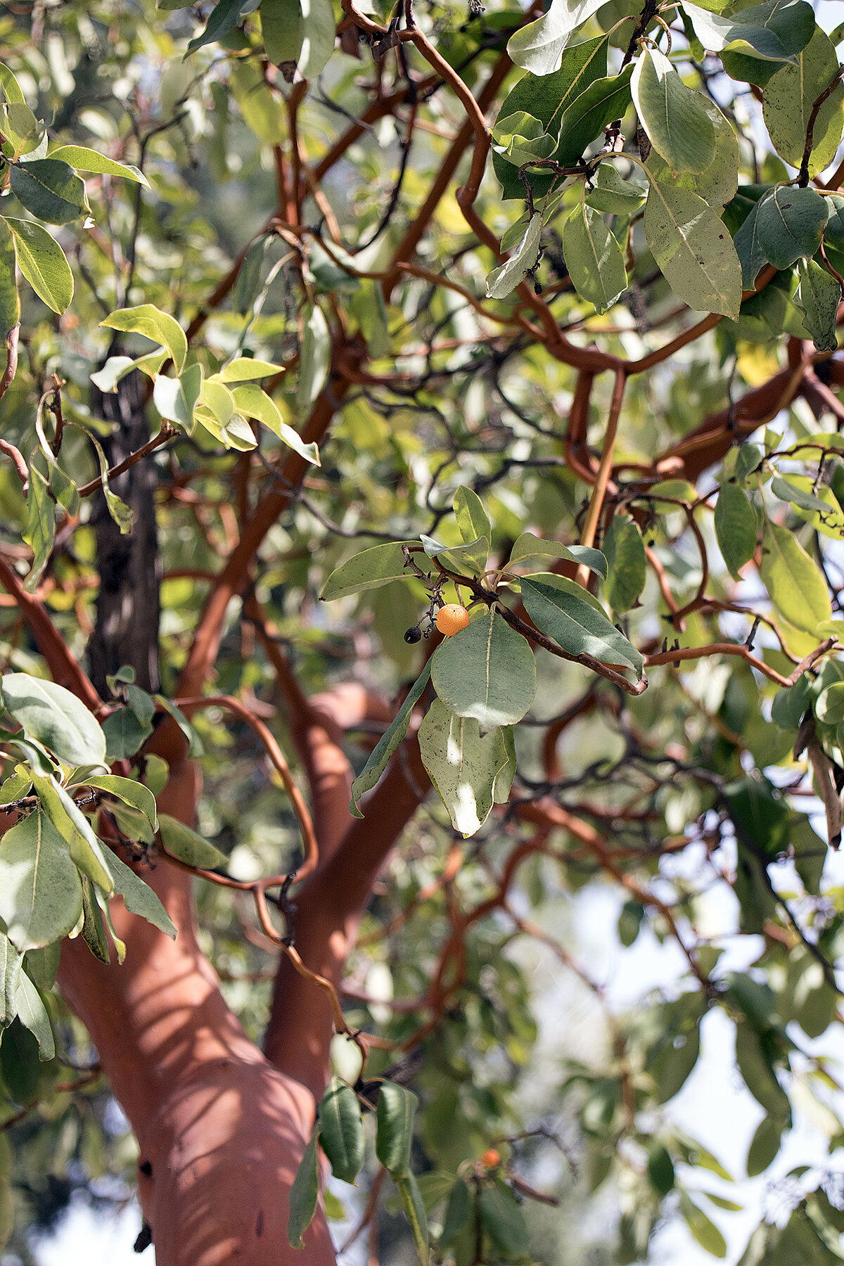 С Новым годом!