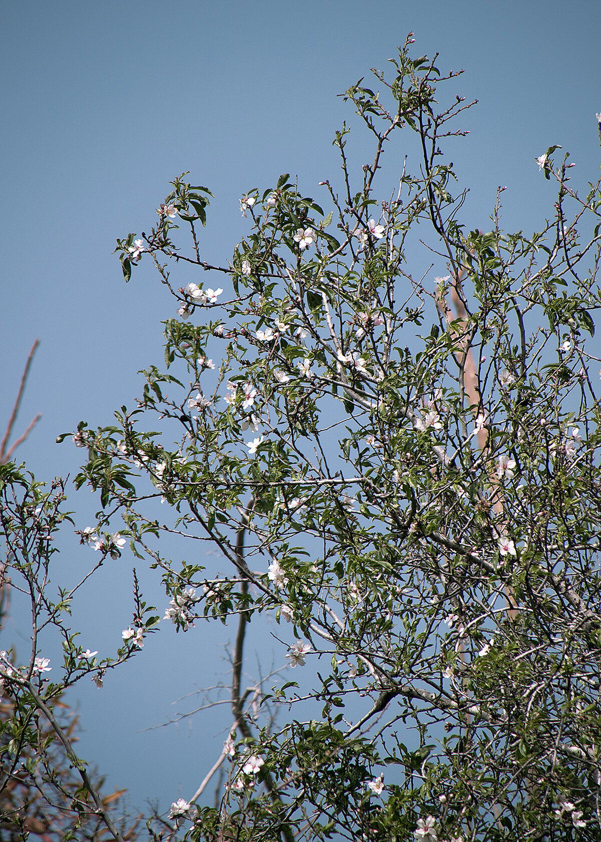 С Новым годом!