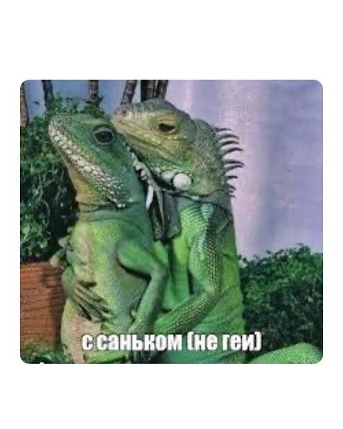 Дички на среду