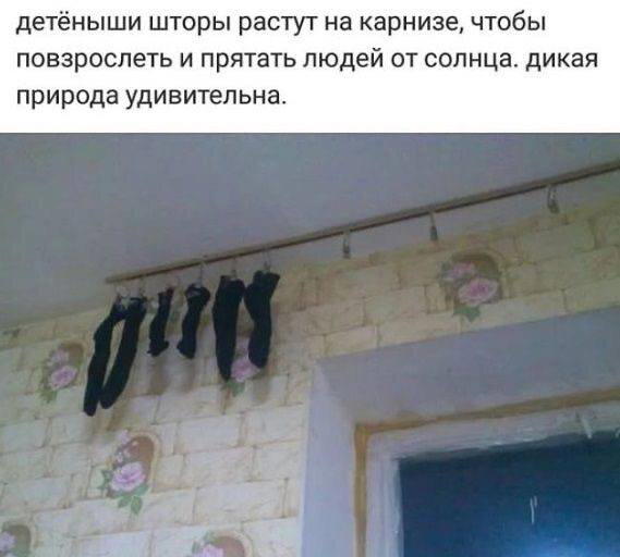 Дички на среду