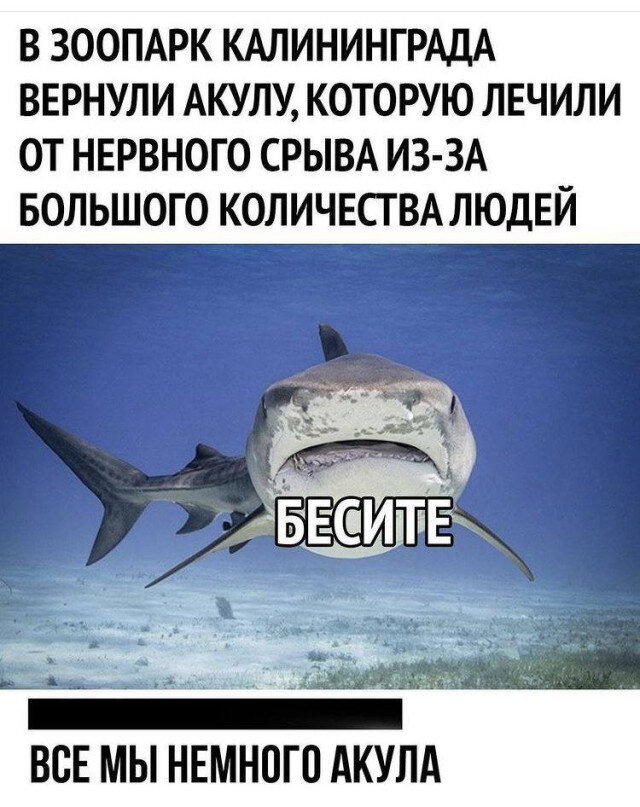 Дички на среду