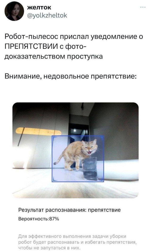 Дички на среду