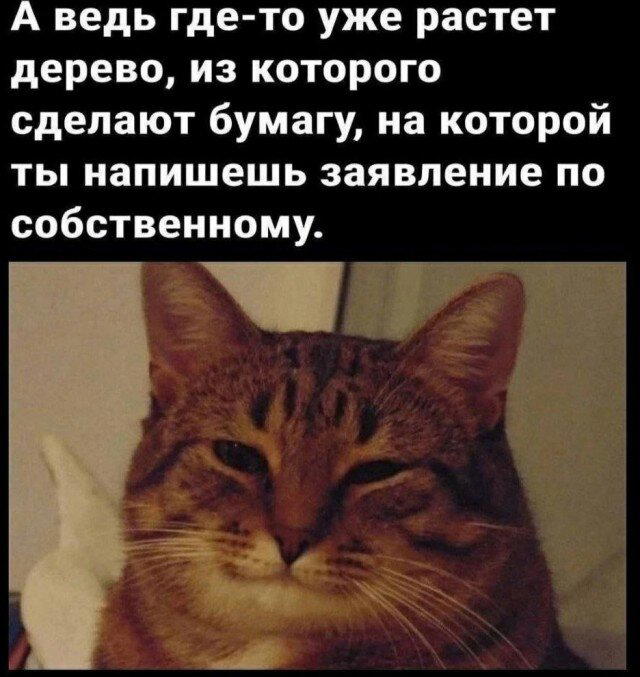 Дички на среду