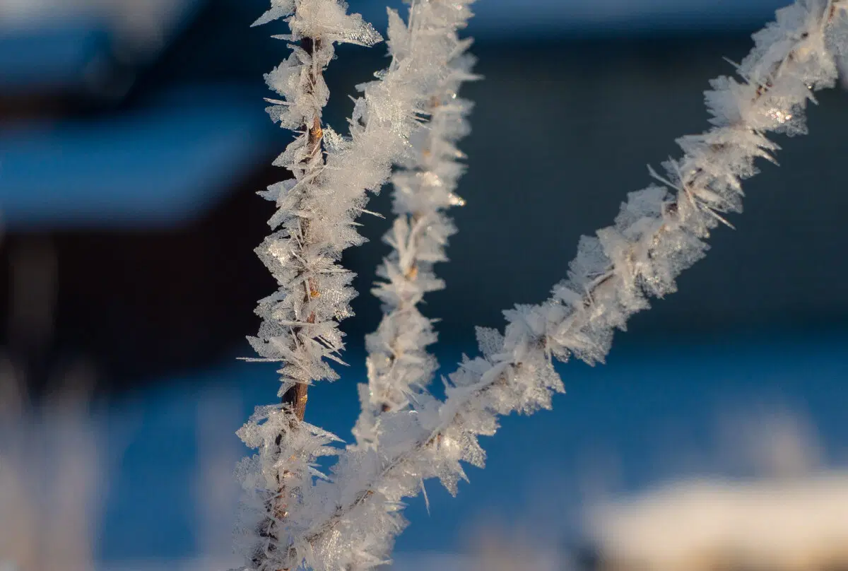 Зима красивая