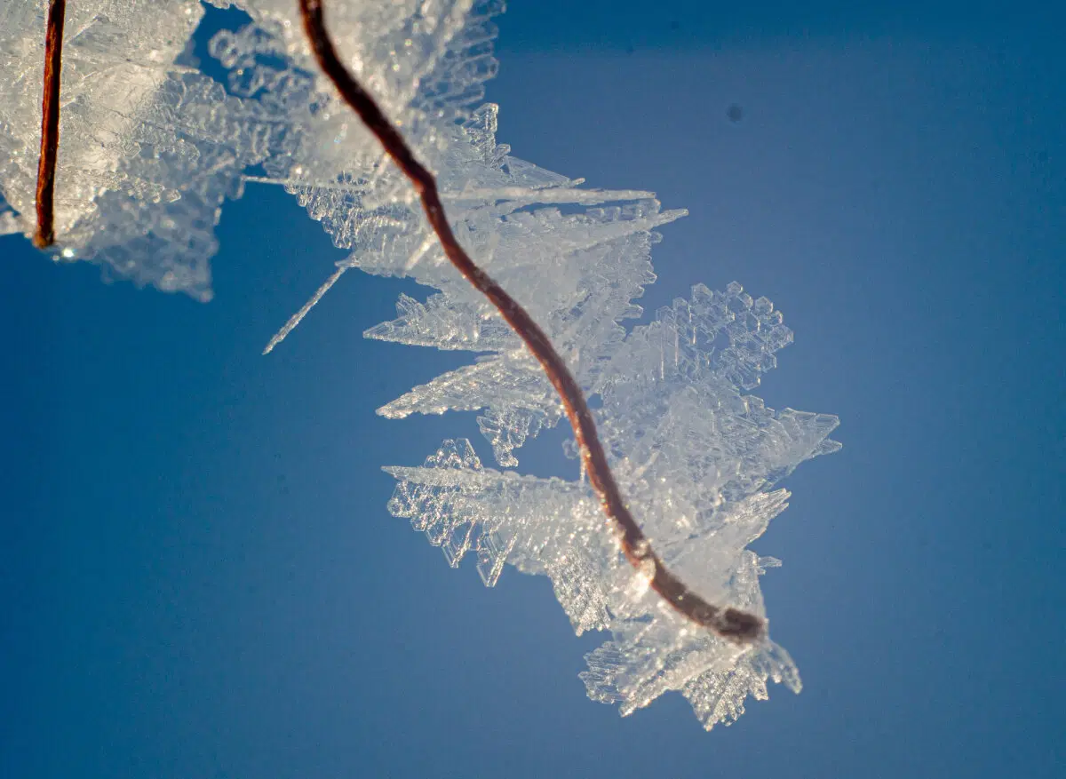 Зима красивая