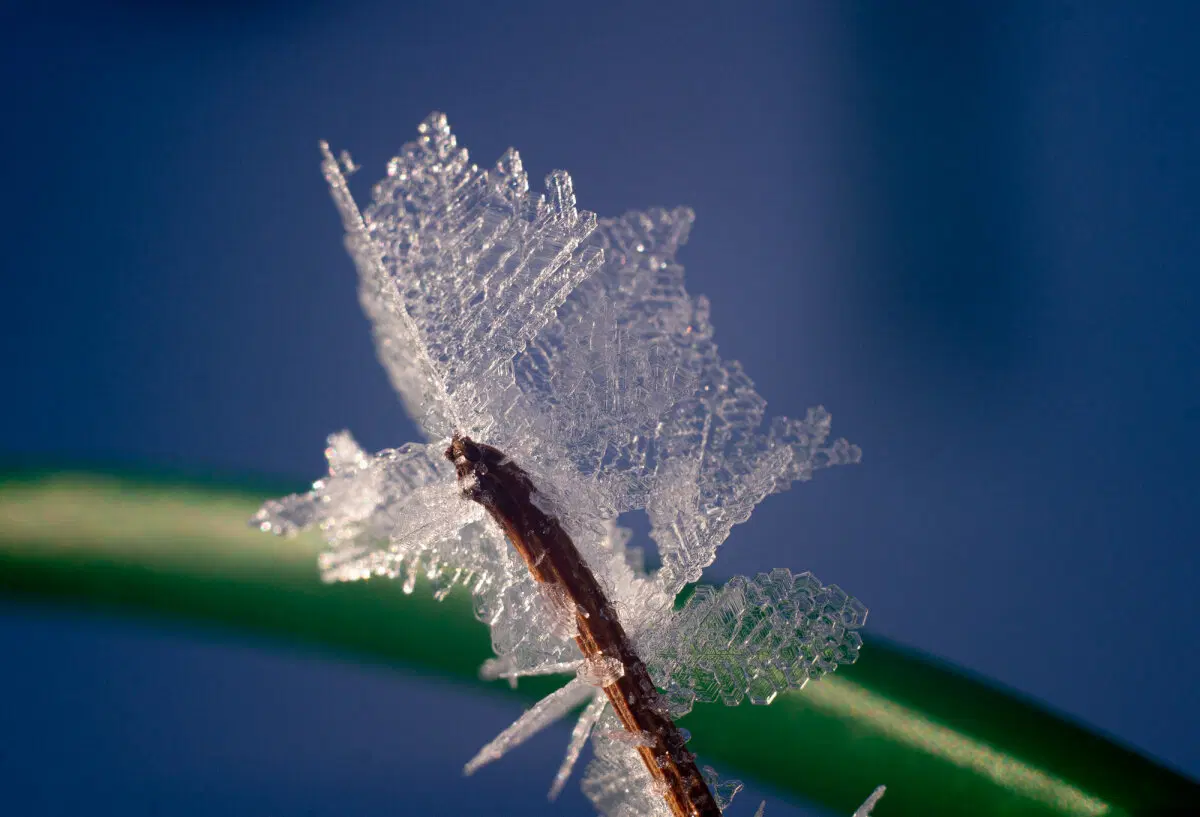 Зима красивая