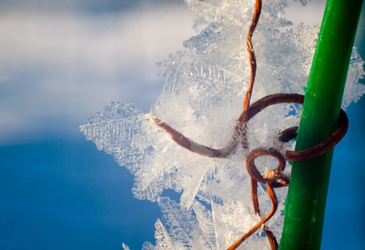 Зима красивая