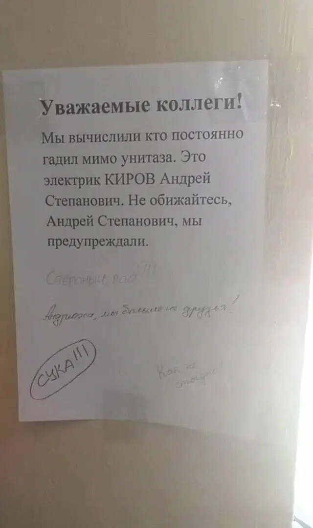 Видишь плюсы и я нет зато дички много