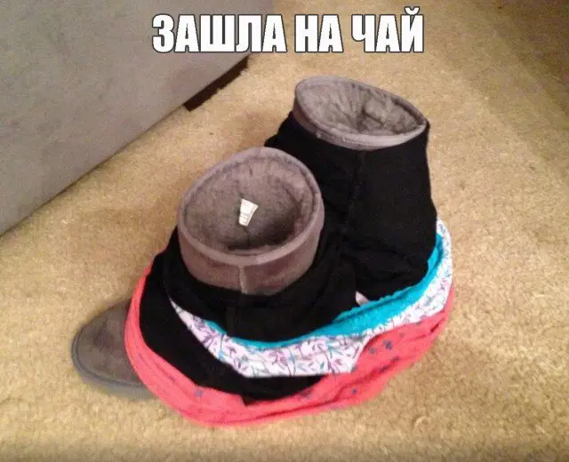 Видишь плюсы и я нет зато дички много