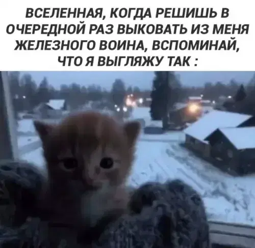 Видишь плюсы и я нет зато дички много