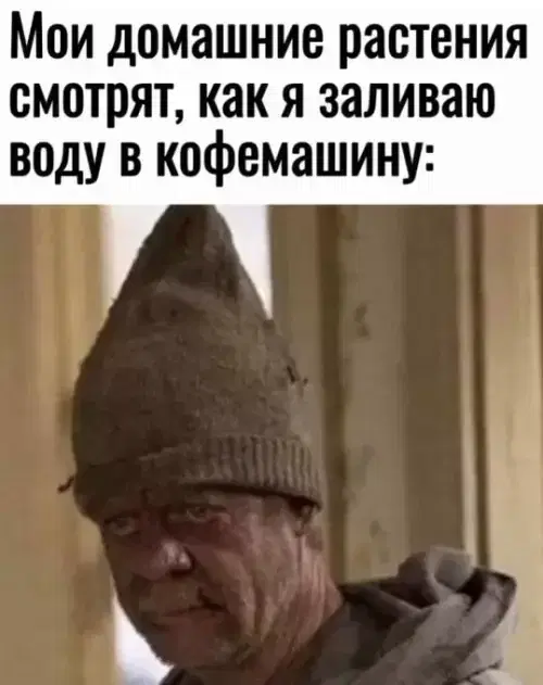 Видишь плюсы и я нет зато дички много