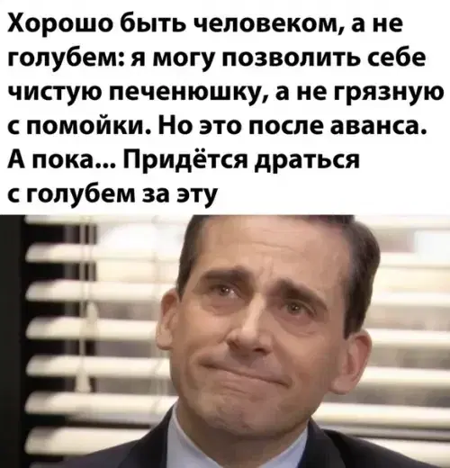 Видишь плюсы и я нет зато дички много