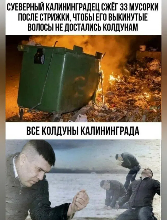 Видишь плюсы и я нет зато дички много