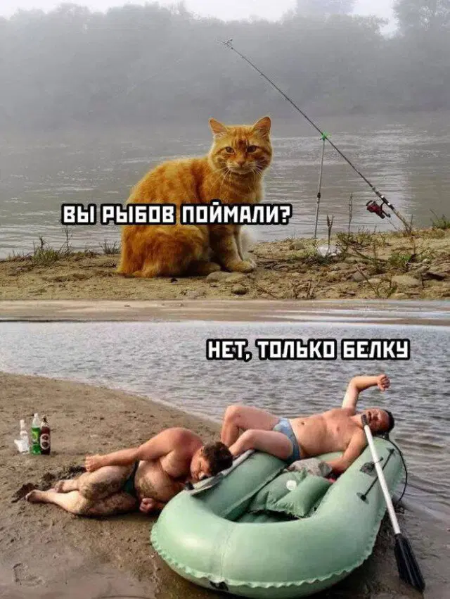 Видишь плюсы и я нет зато дички много