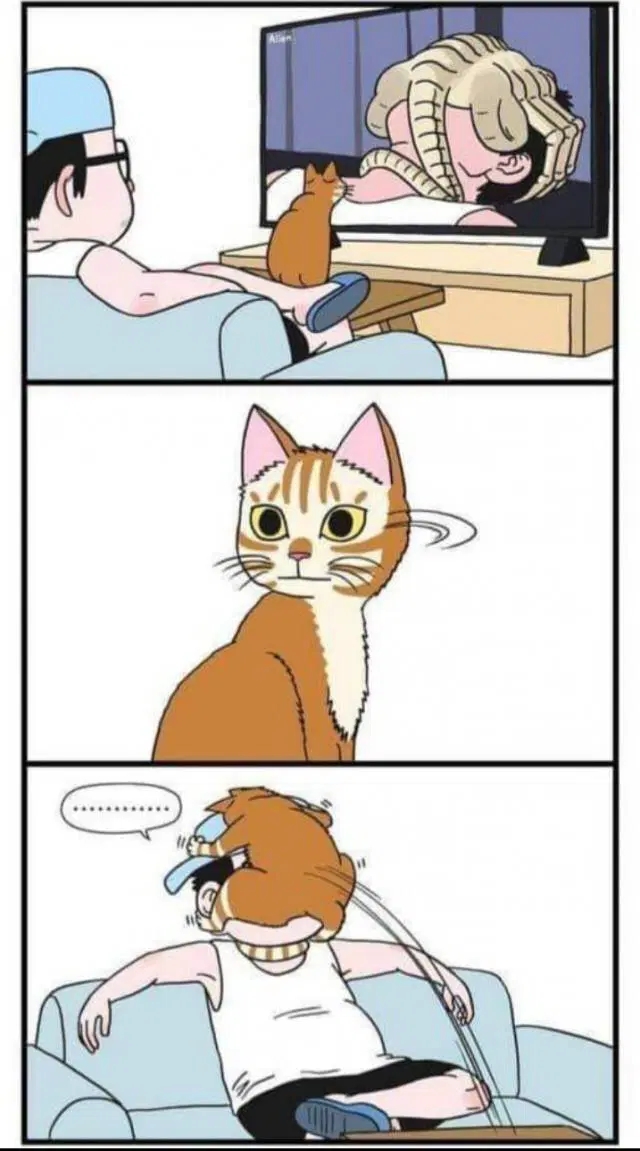 Видишь плюсы и я нет зато дички много