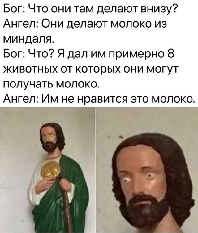 Видишь плюсы и я нет зато дички много