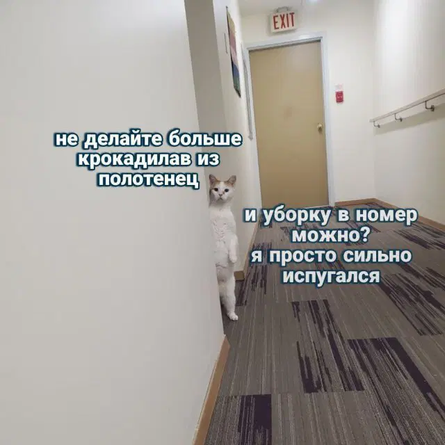 Тихо рыбы, ваш день пришёл, вот и дичь