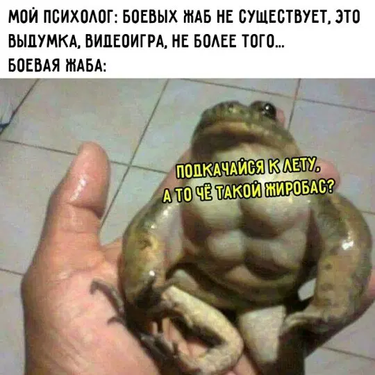 Тихо рыбы, ваш день пришёл, вот и дичь