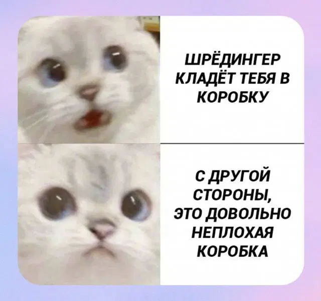 Тихо рыбы, ваш день пришёл, вот и дичь