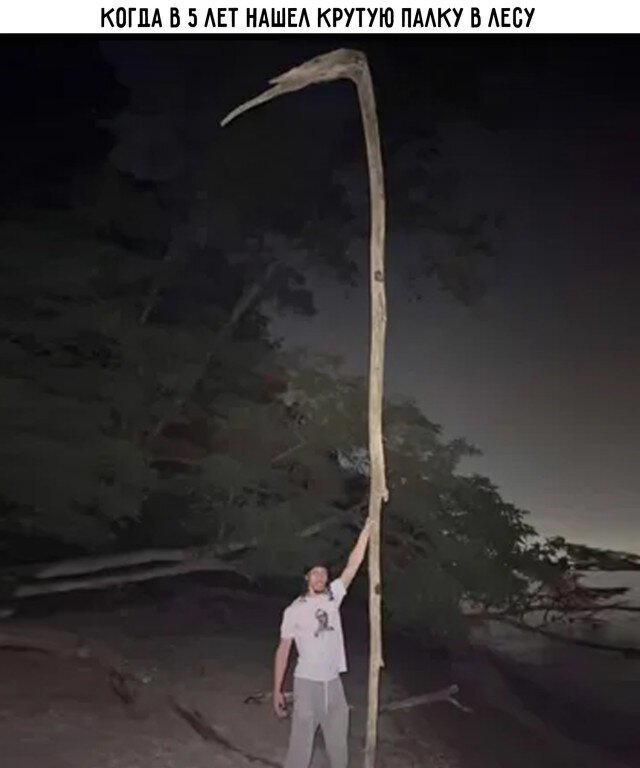 В жизни надо пробовать все дички по пути