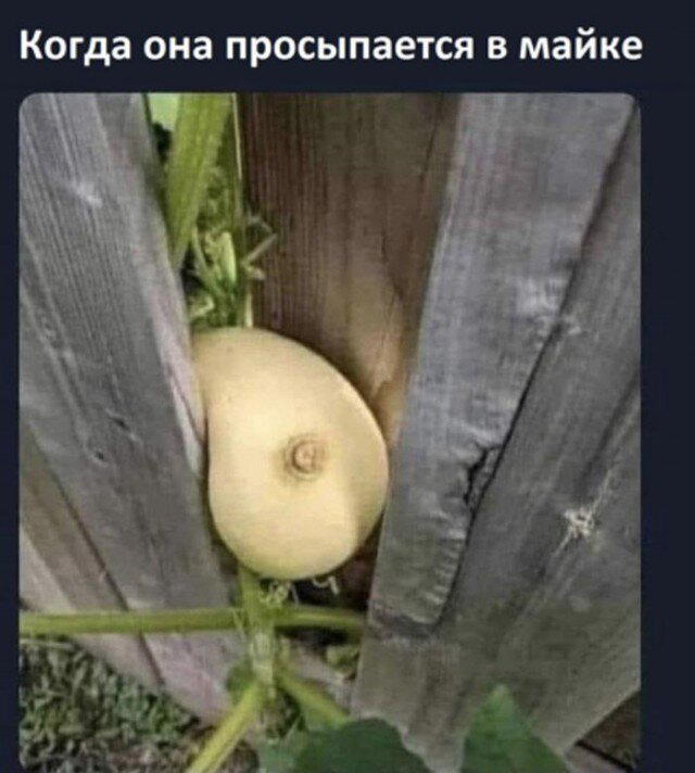 В жизни надо пробовать все дички по пути